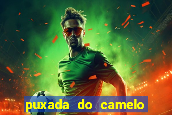 puxada do camelo no jogo do bicho